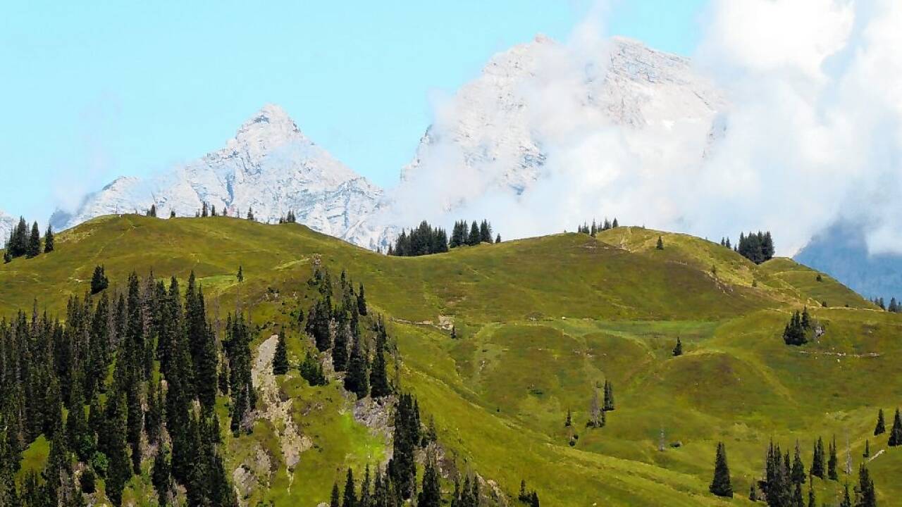 Gamskögerl-Blick über den grünen Ahornstein zum Hochkönigmassiv. 