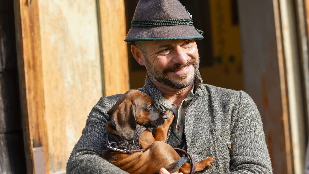 Gebirgsschweißhund-Welpe Agon war mit neun Wochen der wohl jüngste tierische Besucher beim Fest der Jagd im Freilichtmuseum in Großgmain. 