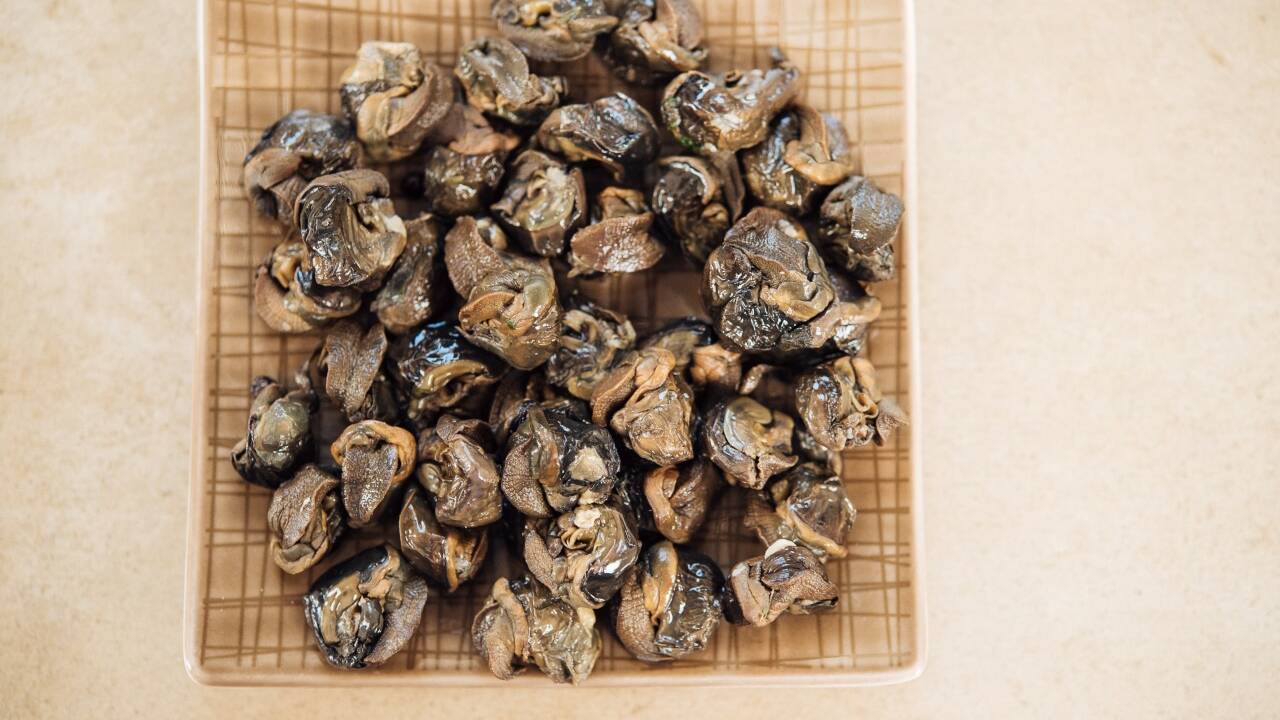 Die Zubereitung der Schnecken 