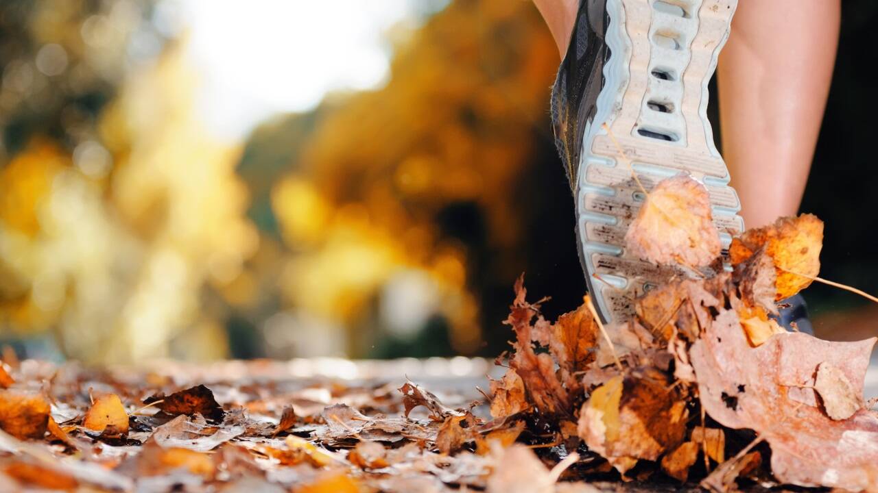 Im Herbst gibt es goldene Tage – und Tage, die in der Nebelsuppe versinken. Bewegen sollte man sich aber jedenfalls. Im Herbst gibt es goldene Tage – und Tage, die in der Nebelsuppe versinken. Bewegen sollte man sich aber jedenfalls.