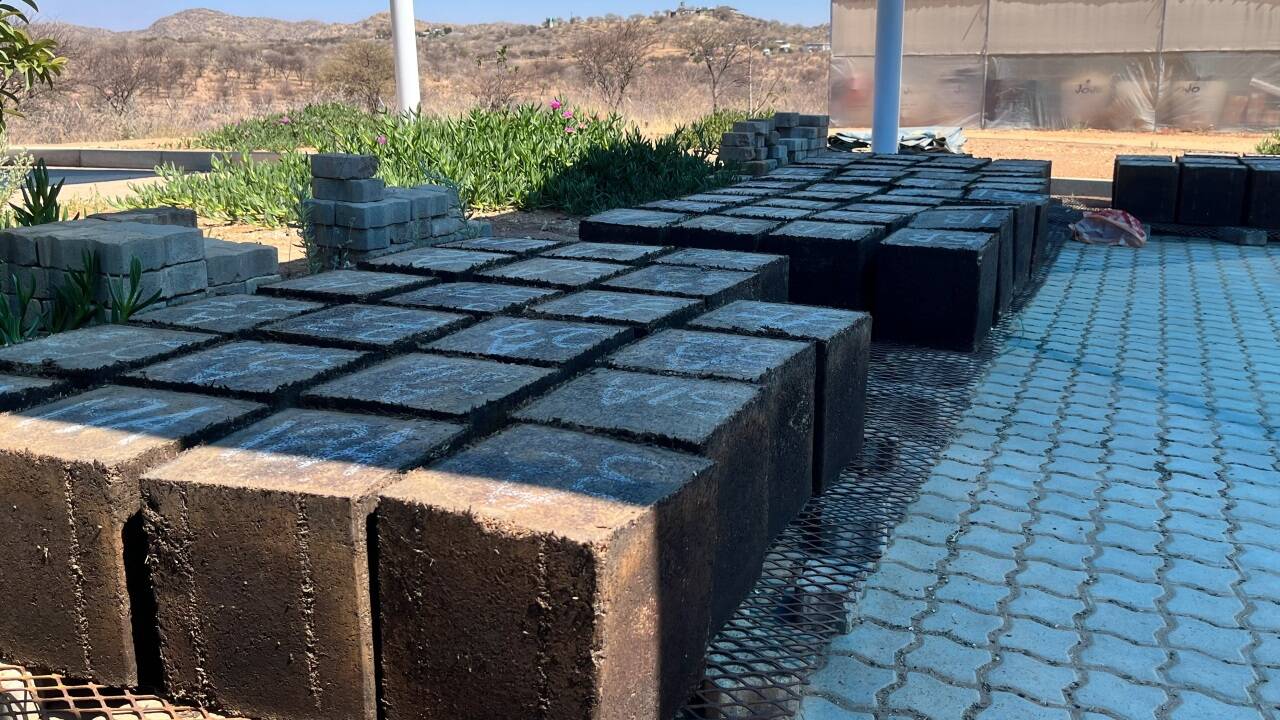 Fertig gebackene Myco-Blocks aus Pilzkonzentrat. 