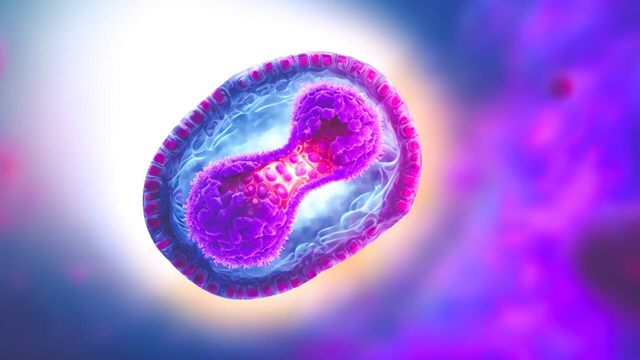 Das Mpox-Virus.  
