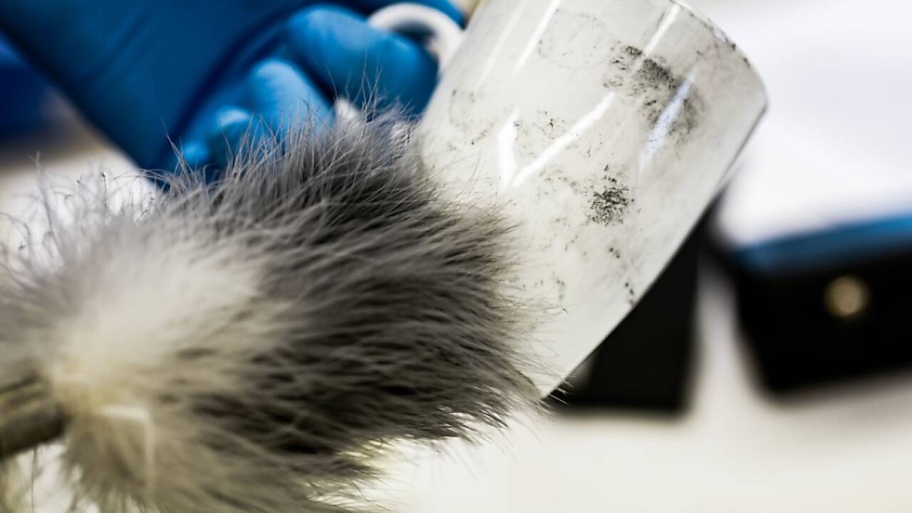 Weiterhin genauere Methode als Gesichtserkennung 