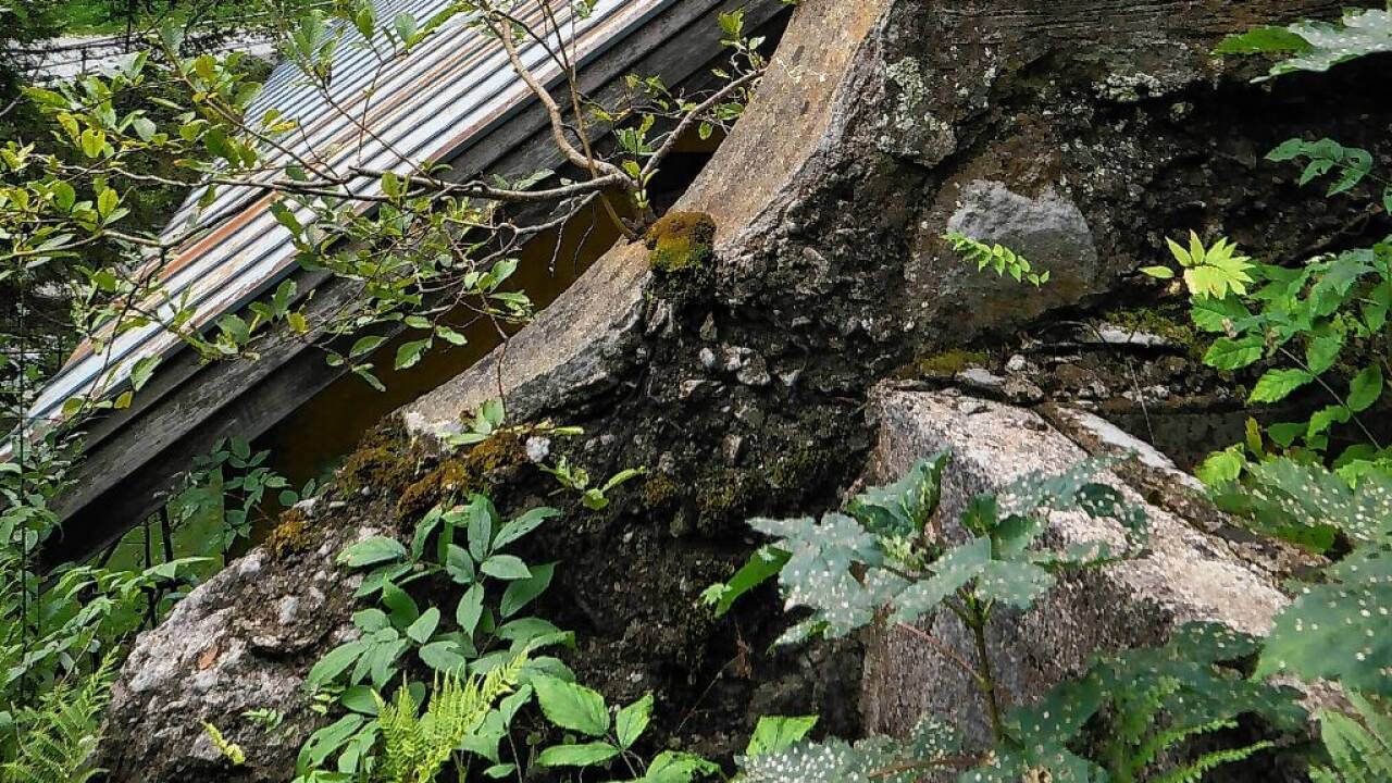 Grün breitet sich auf dem Mauerwerk aus.  