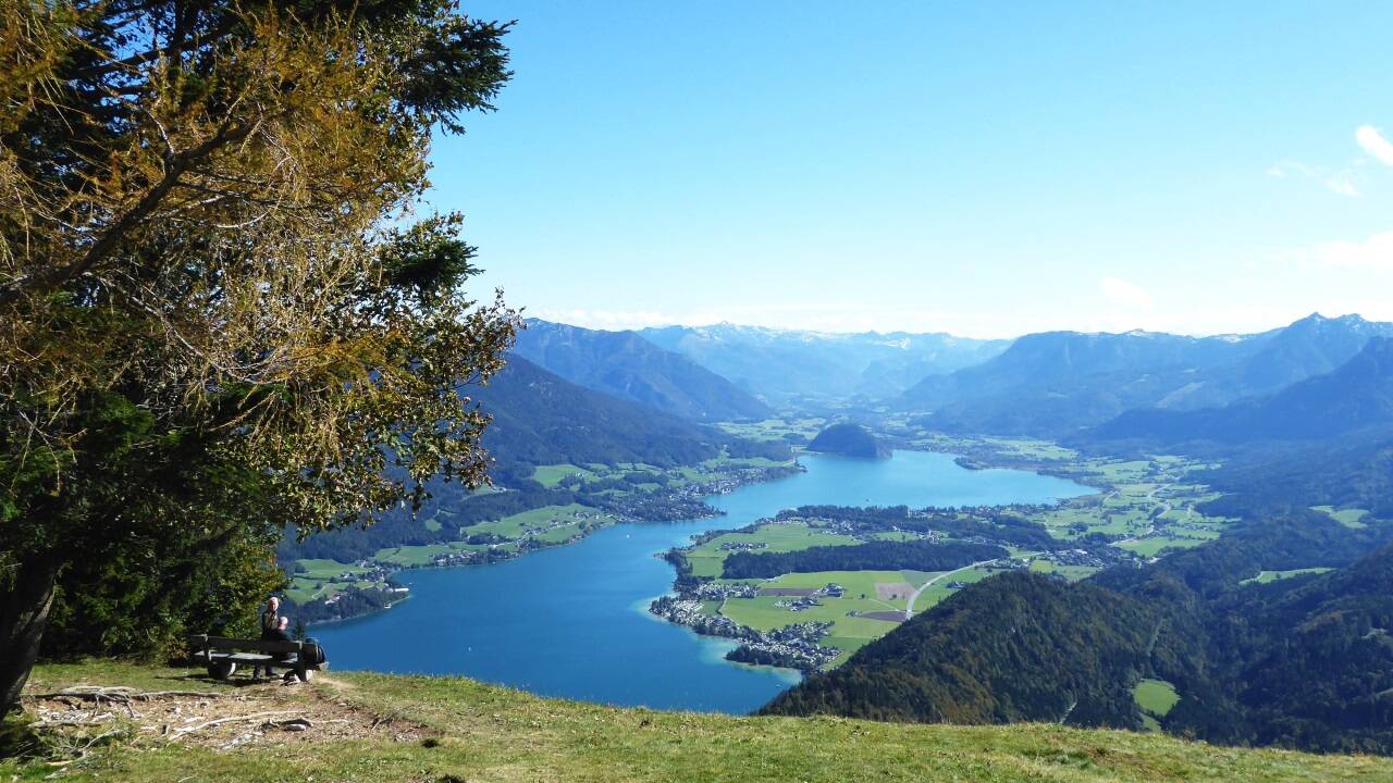 Sonnige Aussichten vom Elferstein auf den Wolfgangsee. 