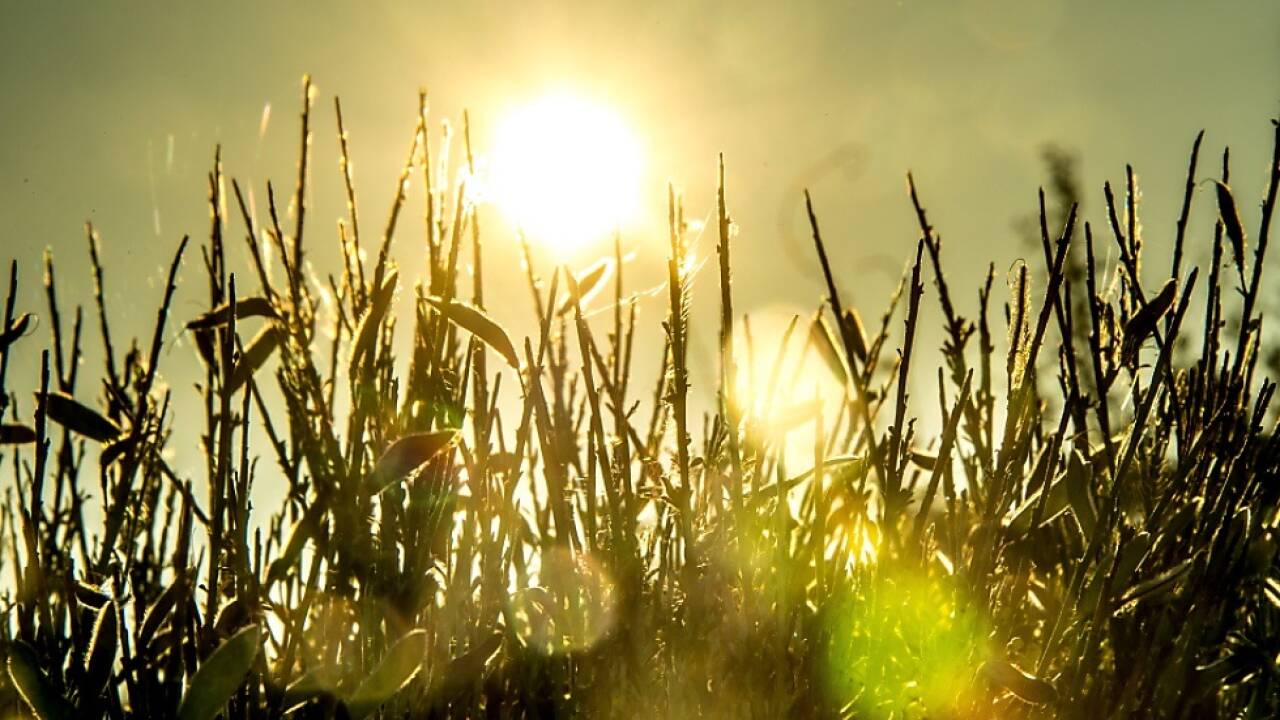 Warnende Worte vor der nächsten UNO-Klimakonferenz 