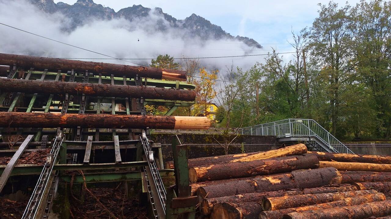 Kurt Klappacher leitet seit 2007 mit seinem Bruder Josef das Grödiger Sägewerk am Almkanal.  