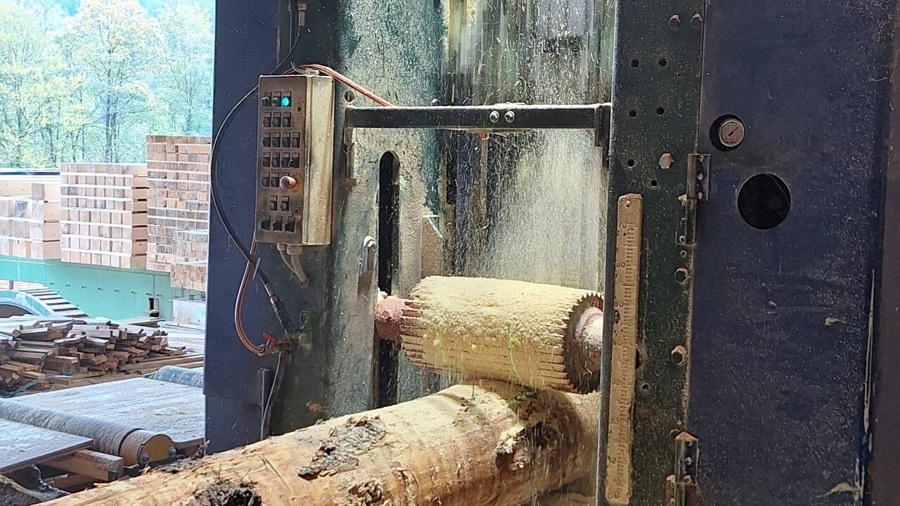 Kurt Klappacher leitet seit 2007 mit seinem Bruder Josef das Grödiger Sägewerk am Almkanal.  