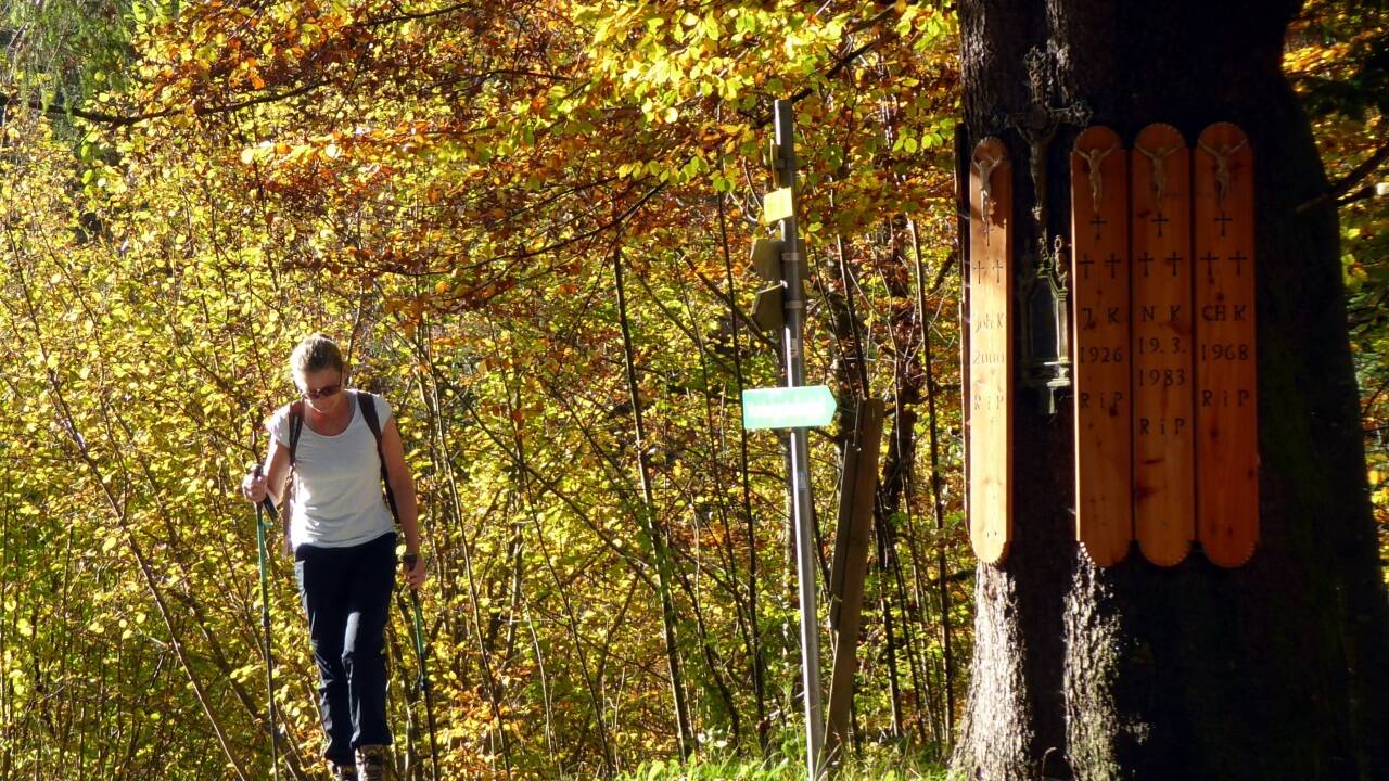 Die Totenbretter an der Kreuzfichte am Fuß des Lidaun.  