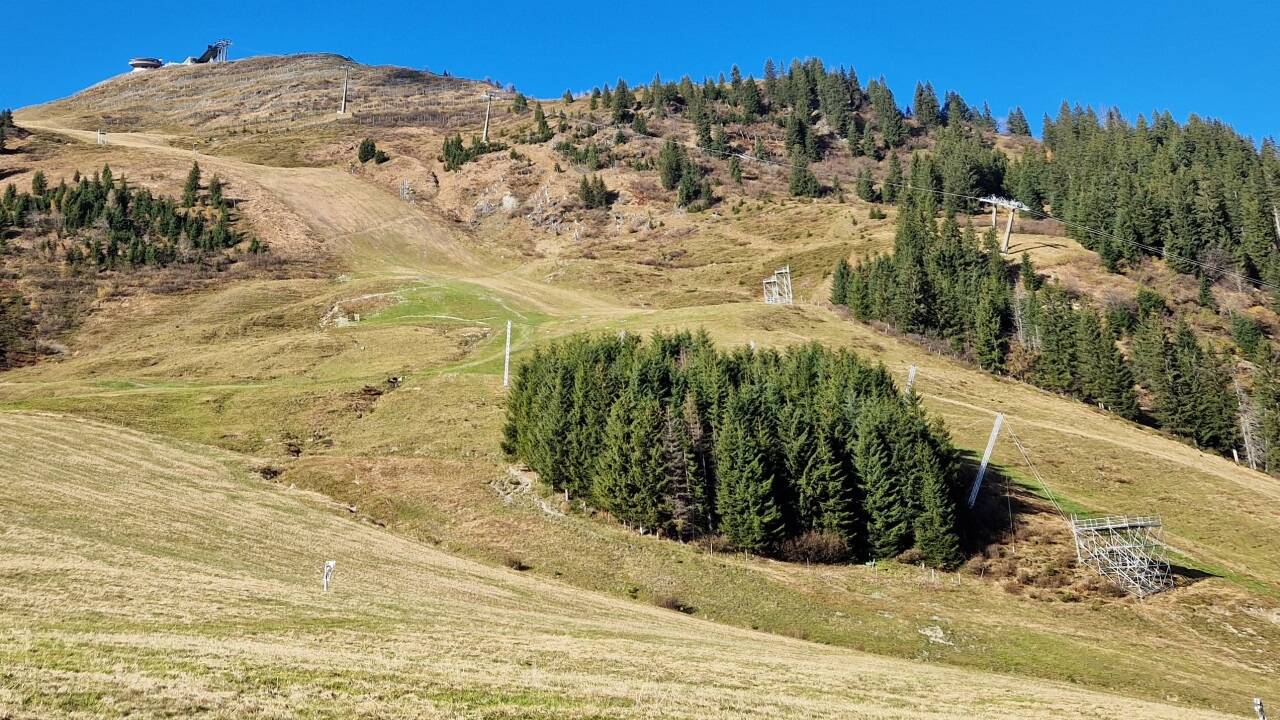 Der obere Bereich des „WM-Bergs“ Zwölferkogel. Unter anderem wurden bereits Gerüste für die TV-Aufnahmen aufgestellt.  