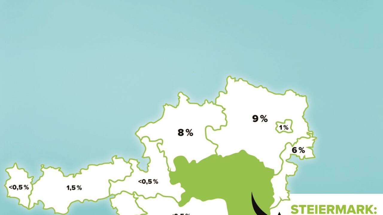  Katastrophale Lage in der Steiermark, woher drei Viertel aller Äpfel kommen. 