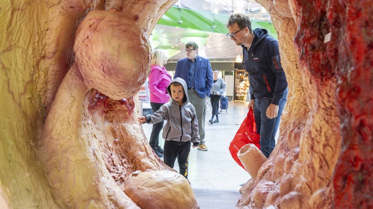 Das begehbare Darmmodell der Österreichischen Krebshilfe zog beim SN-Gesundheitstag am Samstag im Europark vielen Besucherinnen und Besucher an. 