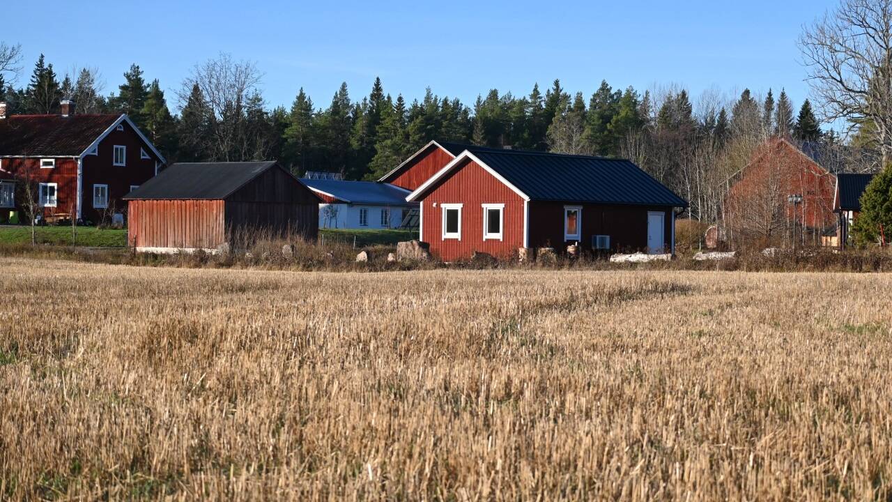 Typisch schwedisch: die Landwirtschaft, vor zwei Jahren von den Schramms gekauft und liebevoll hergerichtet.  