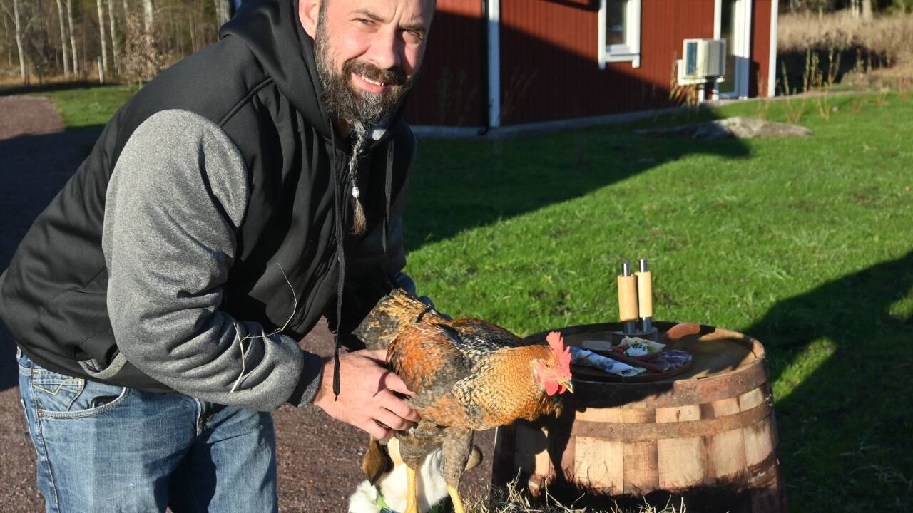 Auf dem Hof leben auch 60 Hühner.  