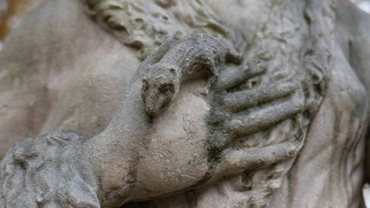 Das Tierchen auf der Hand.   Das Tierchen auf der Hand.