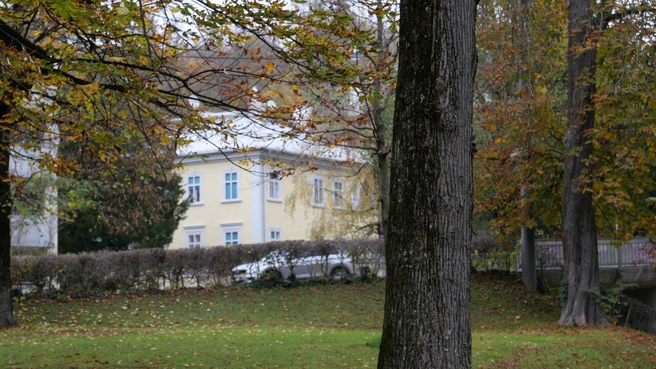 Blick auf Schloss Minnesheim.   Blick auf Schloss Minnesheim.