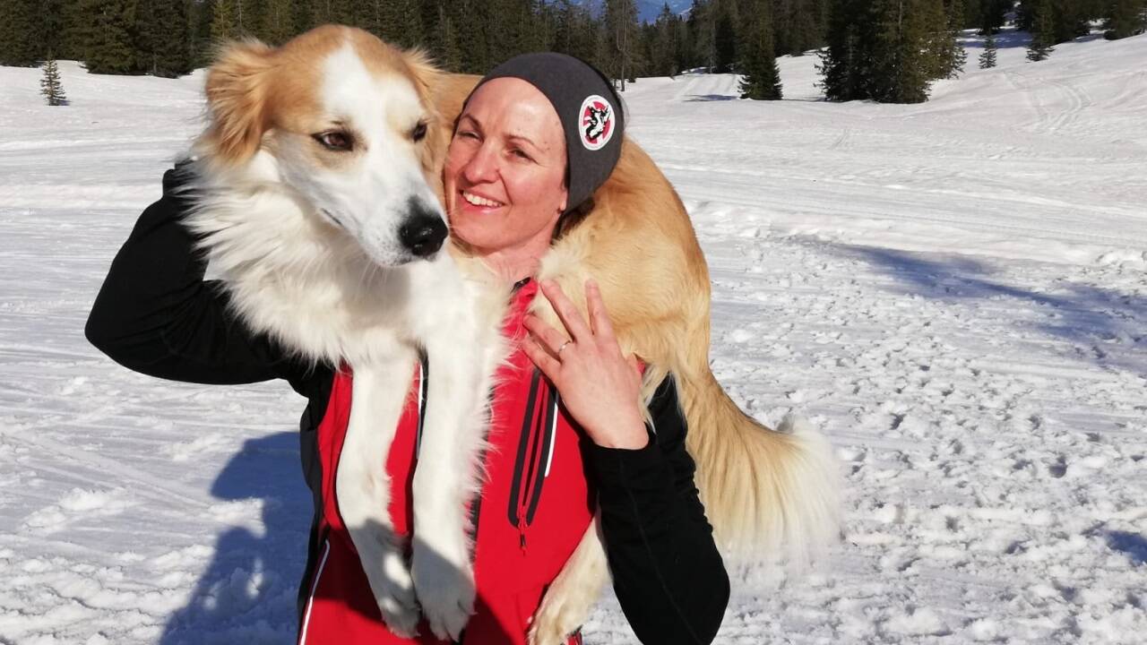 Aktuell gibt es zwei freie Ausbildungsplätze, um gemeinsam mit seinem Hund zum Lebensretter ausgebildet zu werden. 