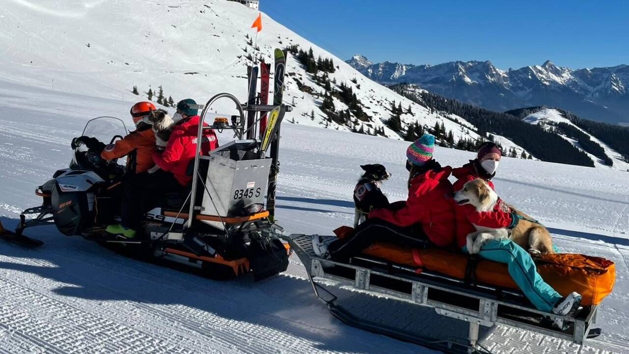 Aktuell gibt es zwei freie Ausbildungsplätze, um gemeinsam mit seinem Hund zum Lebensretter ausgebildet zu werden. 
