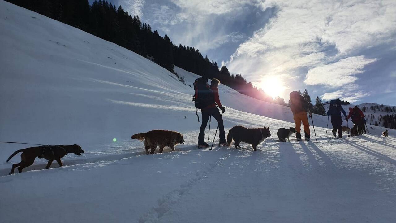 Aktuell gibt es zwei freie Ausbildungsplätze, um gemeinsam mit seinem Hund zum Lebensretter ausgebildet zu werden. 