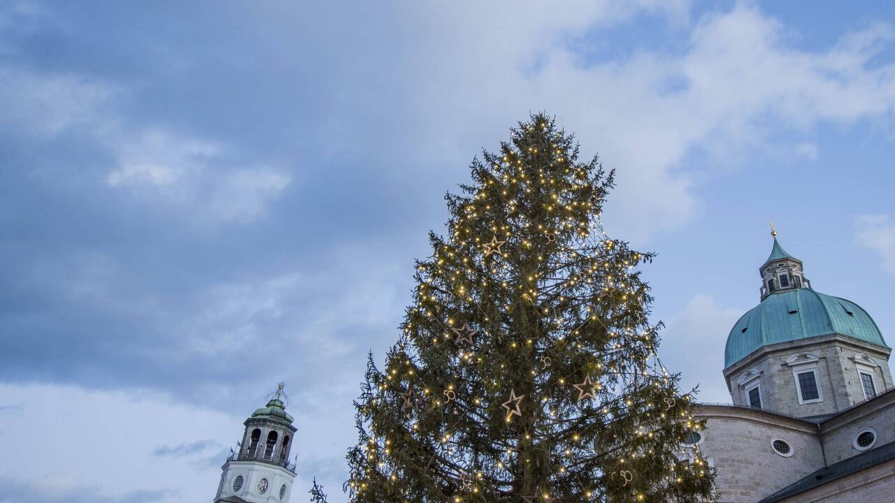 Die rund 70 Jahre alte Fichte aus Ebenau wurde am Mittwochabend erstmals illuminiert.  Die rund 70 Jahre alte Fichte aus Ebenau wurde am Mittwochabend erstmals illuminiert.
