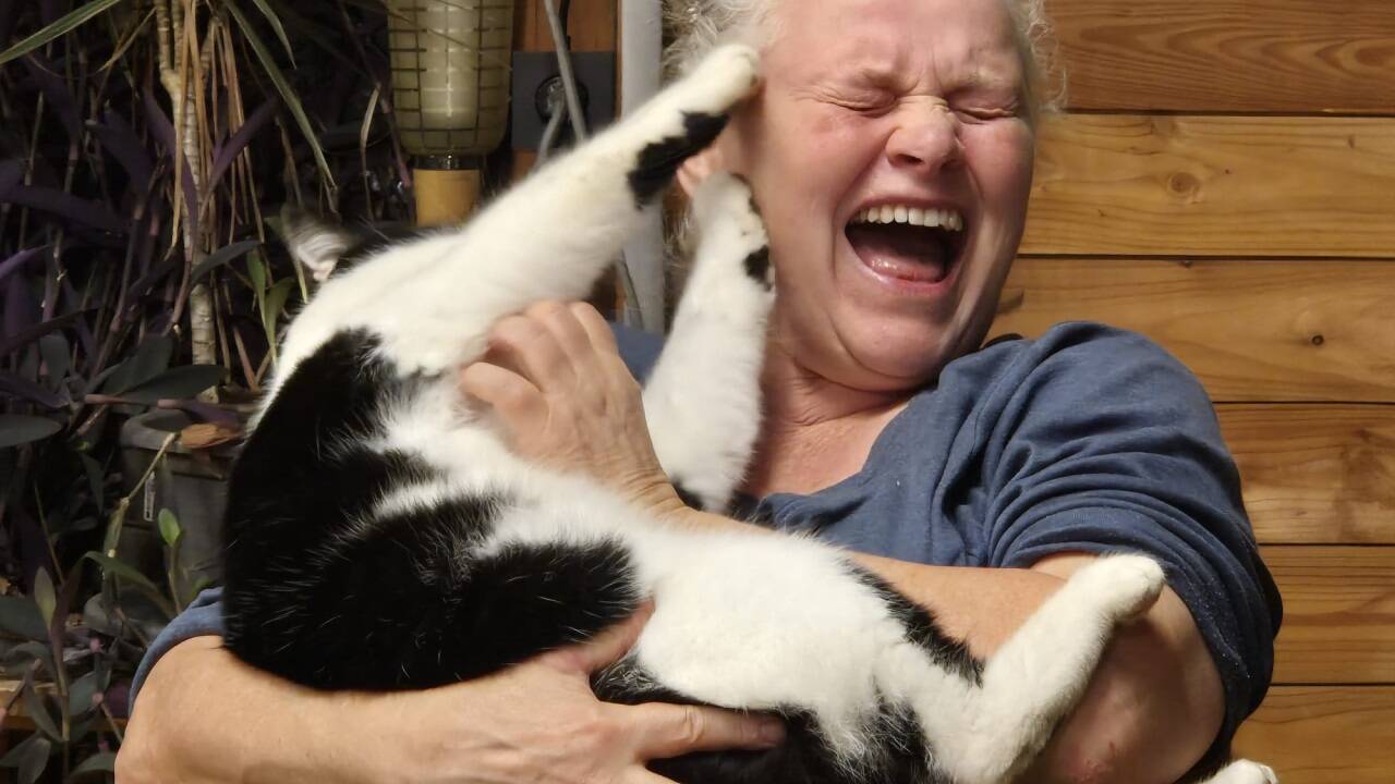 So wird es mit der Tablettengabe nichts: Katze Betty hat endgültig genug von den vielen Versuchen. 
