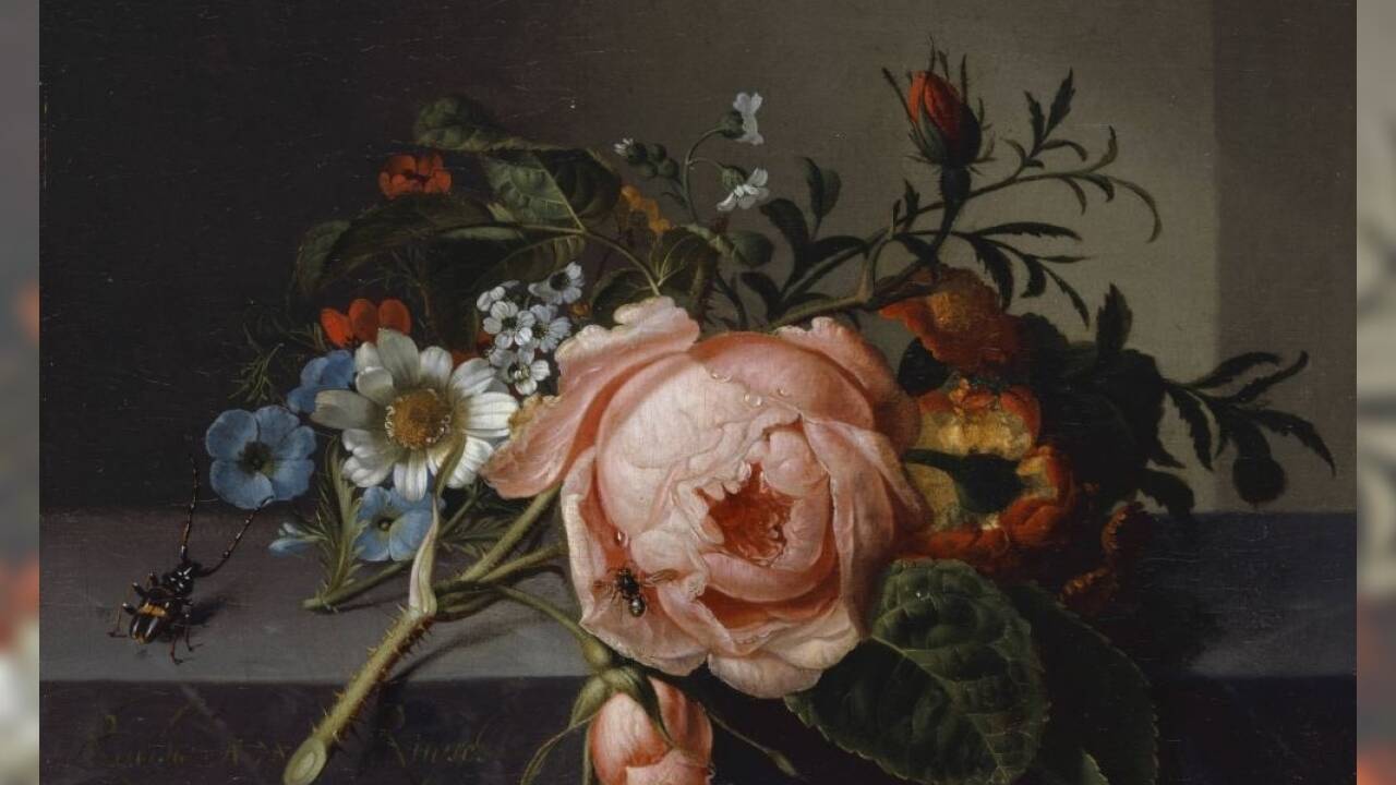 Rachel Ruysch (1664-1750), Stillleben mit Rosenzweig, Käfer und Biene, 1741, Öl auf Leinwand, auf Eichenholz aufgezogen, Kunstmuseum Basel, Schenkung der Prof. J.J. Bachofen-Burckhardt-Stiftung 2015 