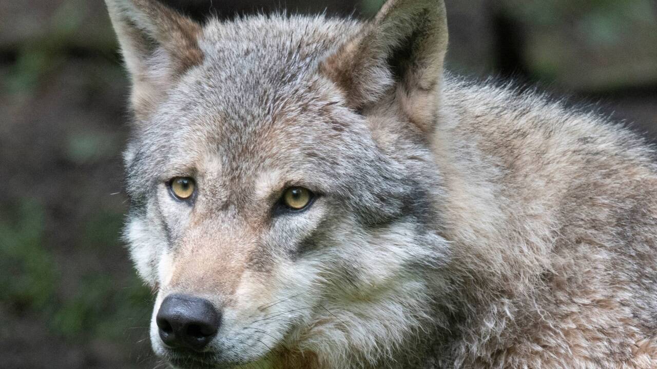 Symbolbild.   Symbolbild.