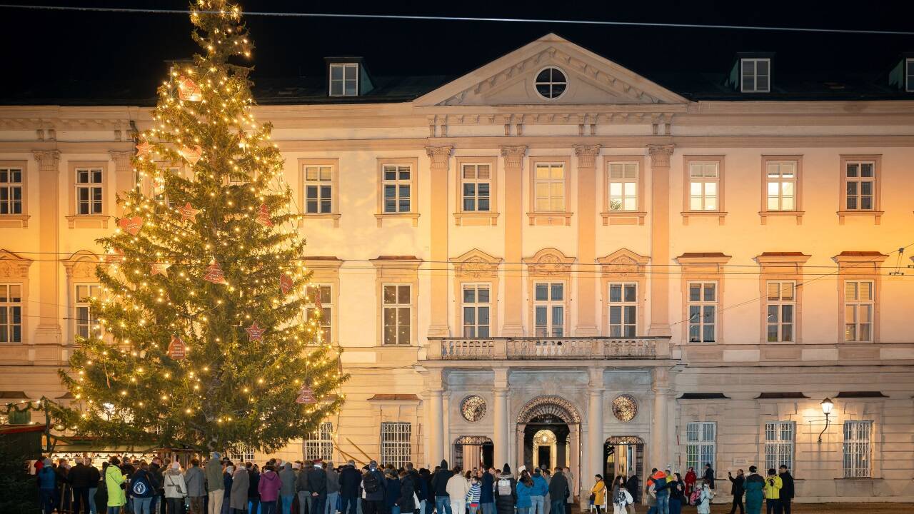 Der Christbaum vor dem Schloss Mirabell erscheint nun mit Hunderten Lichtern.  