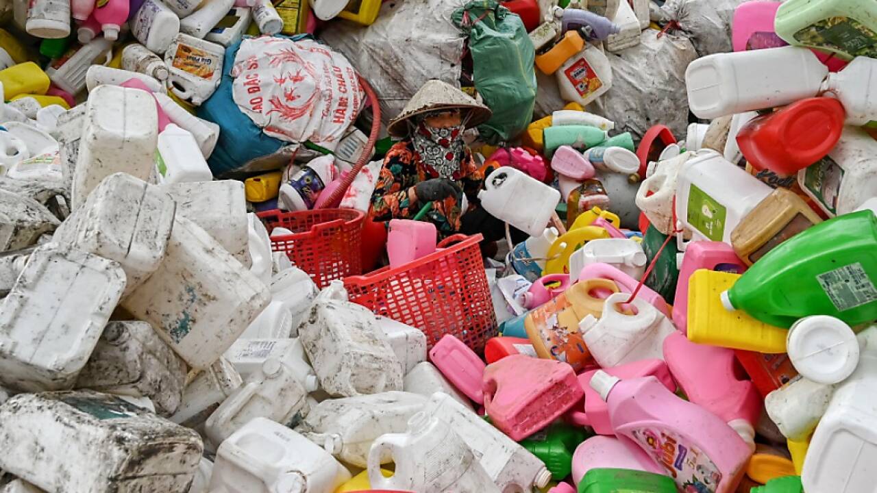Greenpeace 'Plastic Check' 