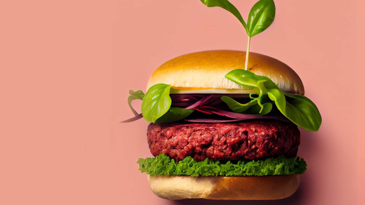 In der Salzburger Altstadt gastiert im August 2025 nun doch kein veganes Streetfoodfestival.  