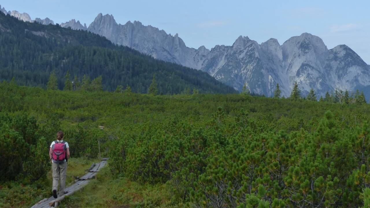 Auf dem Weg durchs Löckernmoos, im Hintergrund der Gosaukamm. Auf dem Weg durchs Löckernmoos, im Hintergrund der Gosaukamm.