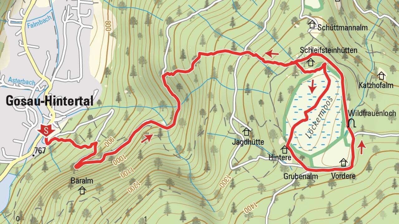 Auf dem Weg durchs Löckernmoos, im Hintergrund der Gosaukamm. Auf dem Weg durchs Löckernmoos, im Hintergrund der Gosaukamm.