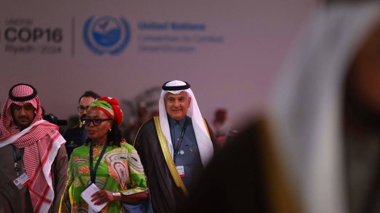 Vor dem Hintergrund extremer Dürren und Trockenheit begann am Montag in Saudi-Arabien eine UNO-Konferenz zur Wüstenbildung (Symbolbild). 