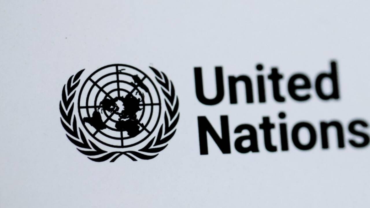 Verbesserungsbedarf bei der UNO-Frauenrechtskonvention 