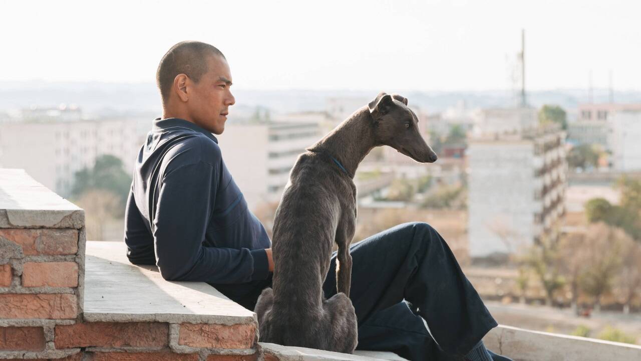 Bilder zum Film „Black Dog“. 