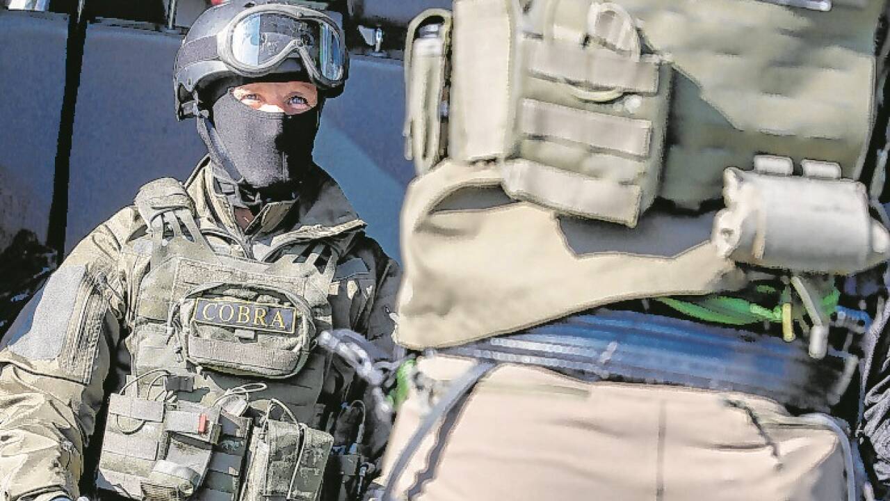 Für die Bewachung von Personen ist die Cobra zuständig.robert ratzer 
