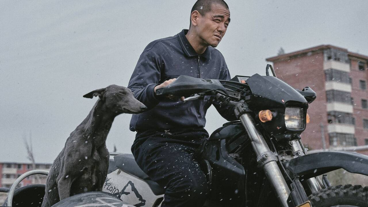 Bilder zum Film „Black Dog“. 