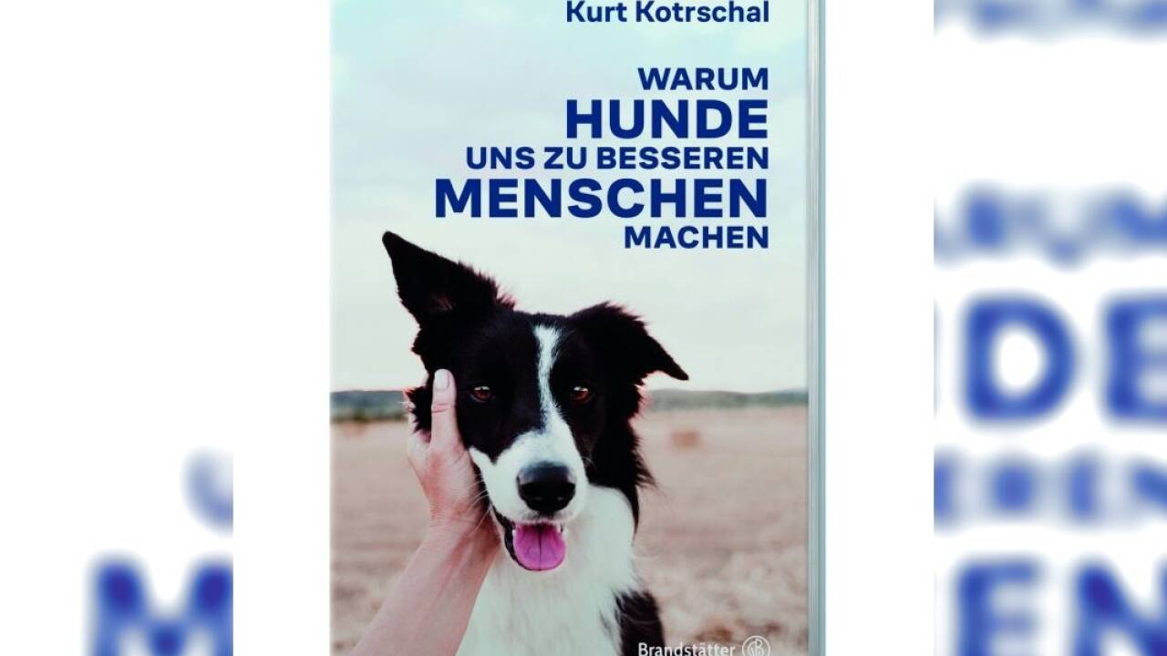 „Warum Hunde uns zu besseren Menschen machen“, erschienen im Verlag Brandstätter (192 Seiten, 25 Euro). Es ist nicht nur für Hundefans eine äußerst interessante Lektüre.  