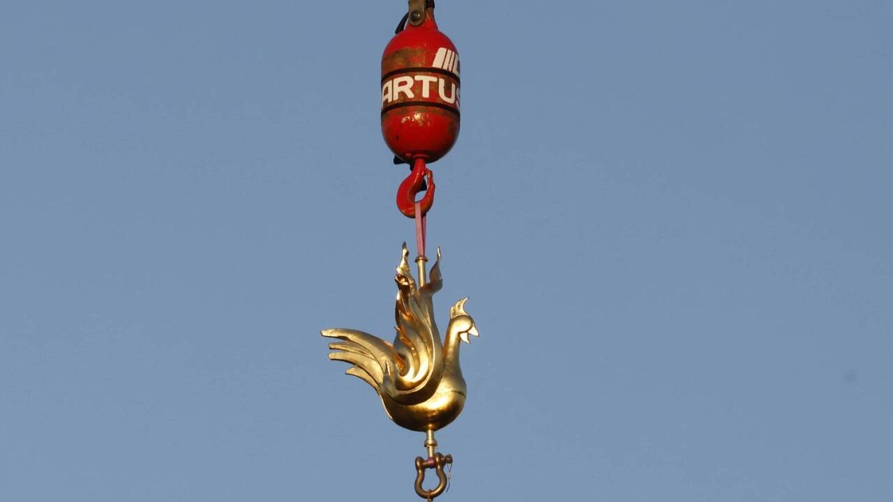 ... fliegt auch der Hahn wieder.  ... fliegt auch der Hahn wieder.