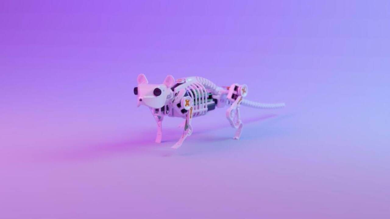 Die Münchner neuro-robotische Maus ist eine Art Vorläufer von SMuRo 
