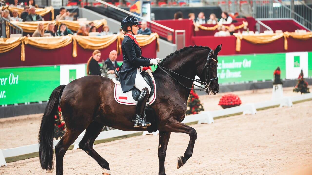 Eines der Höhepunkte: „Wunderpferd“ Maxima Bella (l.) holte mit Sandra Sysojeva ihre Karriere-Bestmarke.  Eines der Höhepunkte: „Wunderpferd“ Maxima Bella (l.) holte mit Sandra Sysojeva ihre Karriere-Bestmarke.