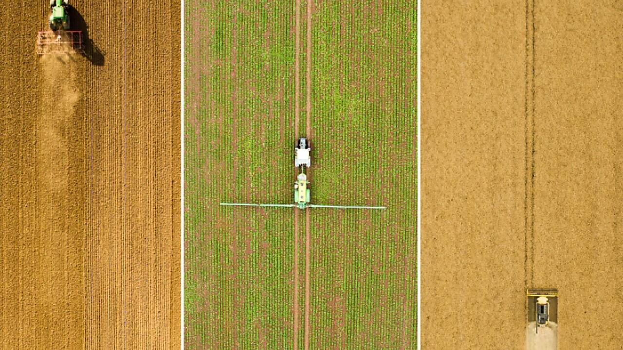 Der Unkrautvernichter Glyphosat bleibt umstritten 