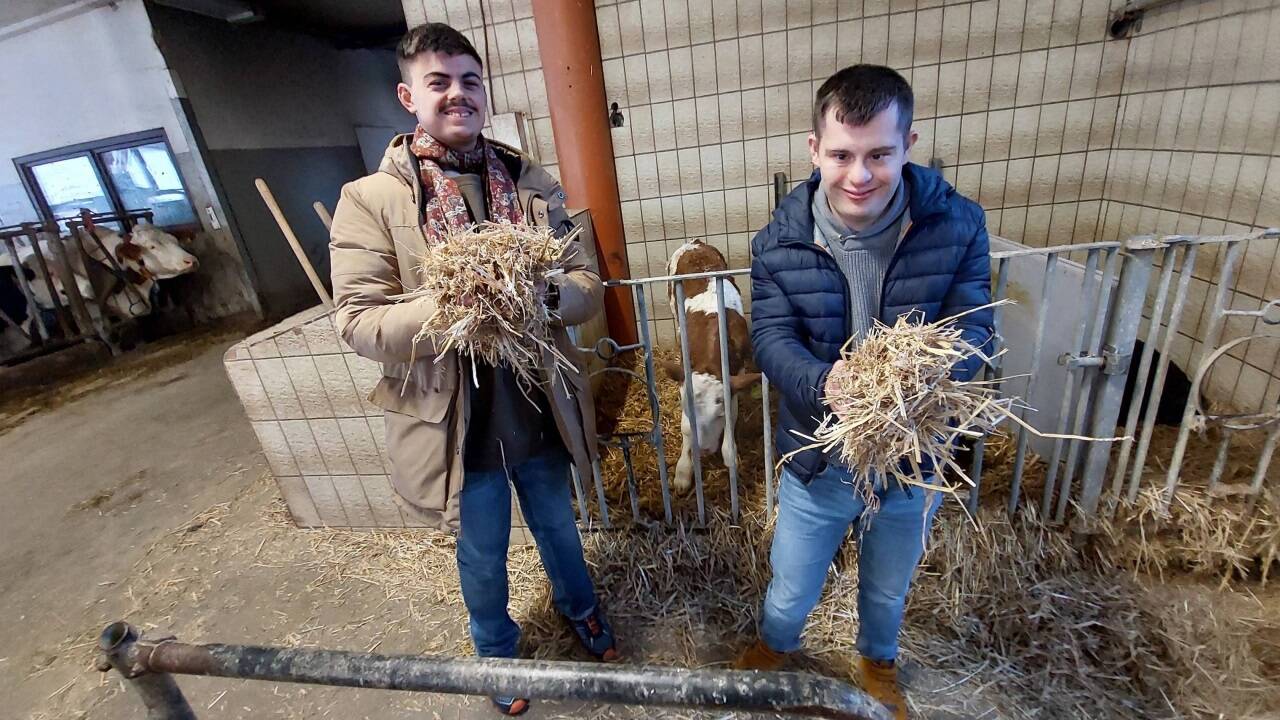 Cedric Bajer bei der Arbeit im Stall mit seinem Freund Antonio Marijanovic. 