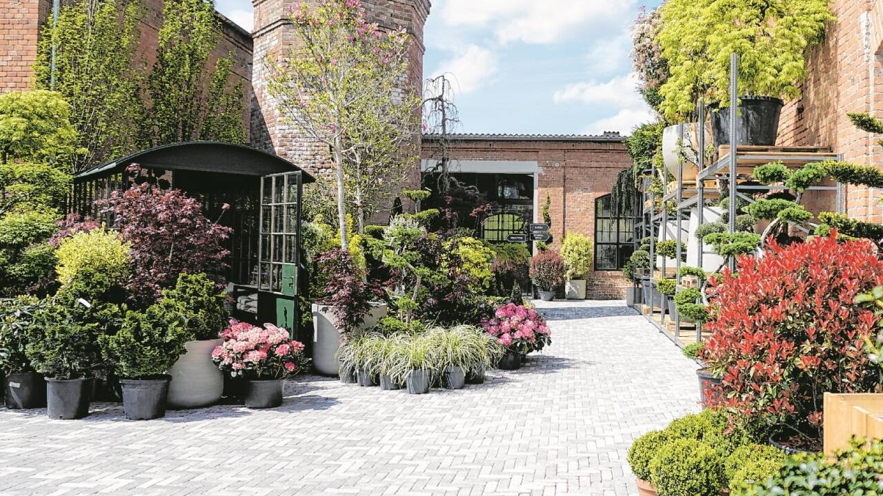 Aus einer ehemaligen Bettwarenfabrik im Süden von Wien wurde ein Gartenfachmarkt.  