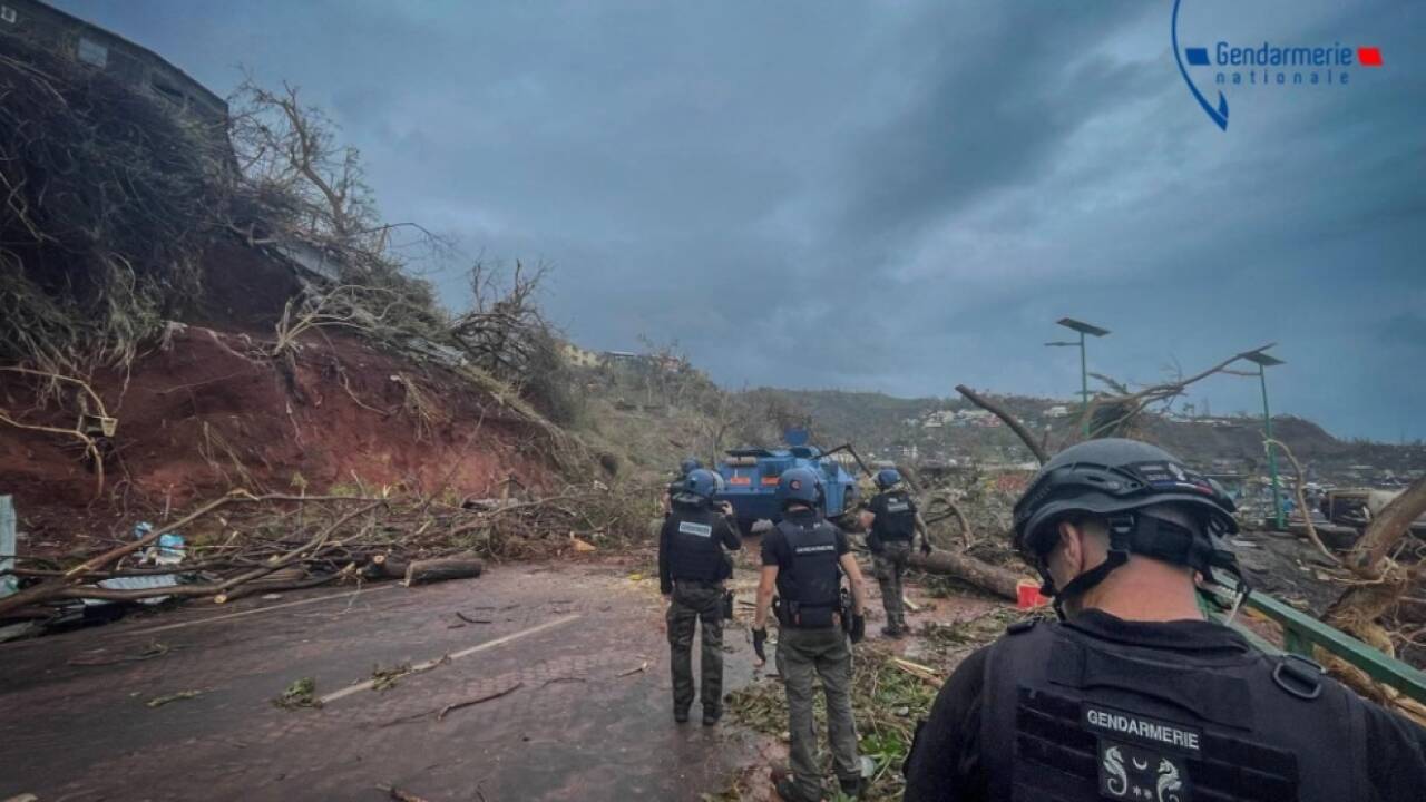Gendarmen entfernen umgestürzte Bäume von Fahrbahn 