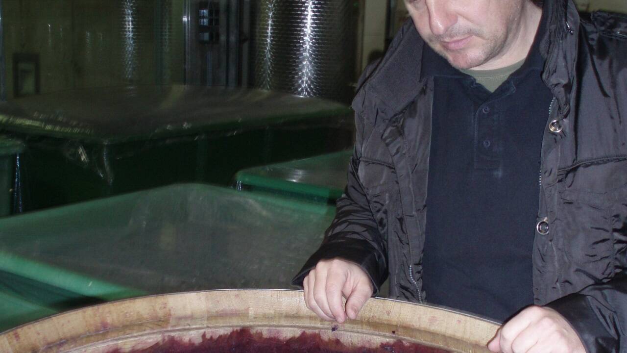 Winzer Uwe Schiefer, der in der Wiener Gastronomie Kellner und Sommelier war, gründete 1990 sein eigenes Weingut (hier 2013 bei einem offenen Gärbehälter). Zwei Mal lieferte Schiefer auch den roten Festspielwein in Salzburg, nach 2008 war es 2013 die Cuvée „Meistersinger“ aus Blaufränkisch und Merlot. Winzer Uwe Schiefer, der in der Wiener Gastronomie Kellner und Sommelier war, gründete 1990 sein eigenes Weingut (hier 2013 bei einem offenen Gärbehälter). Zwei Mal lieferte Schiefer auch den roten Festspielwein in Salzburg, nach 2008 war es 2013 die Cuvée „Meistersinger“ aus Blaufränkisch und Merlot.