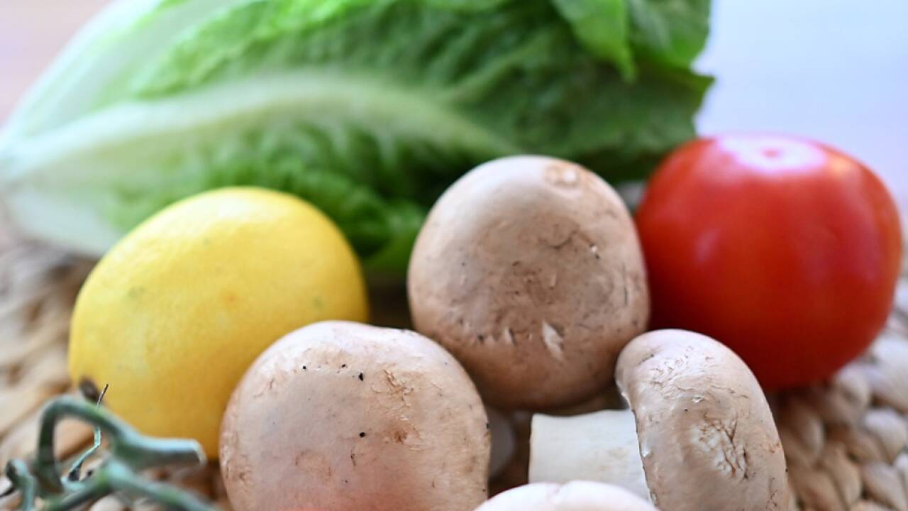 Die vegane/vegetarische Kochlehre startet 