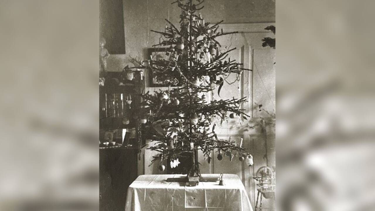 Ein Weihnachtsbaum aus der Kindheit von Sieglinde Adlgasser. 