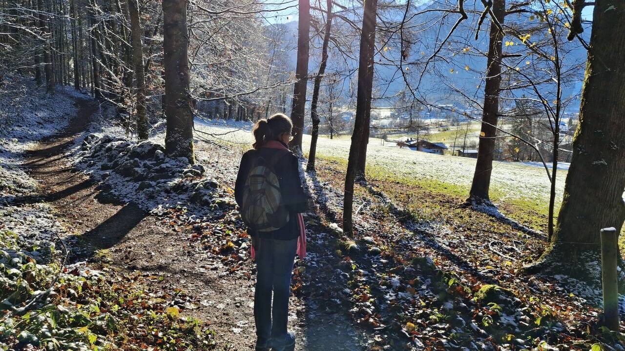 Die Runde um den Sulzbergkopf führt durch Licht und Schatten.  