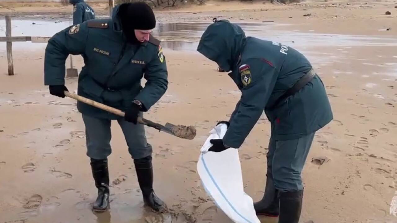 Öl wird aufgesammelt  Öl wird aufgesammelt